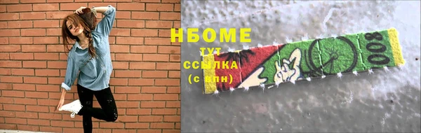 индика Баксан