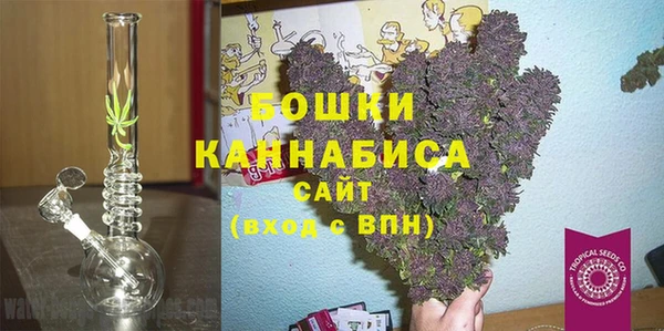 индика Баксан