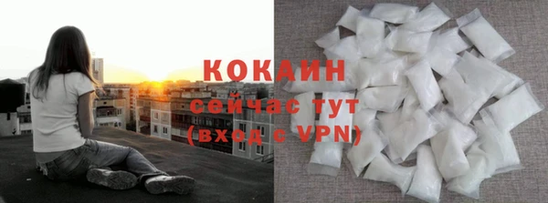индика Баксан