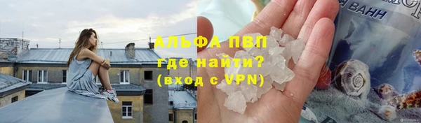 индика Баксан