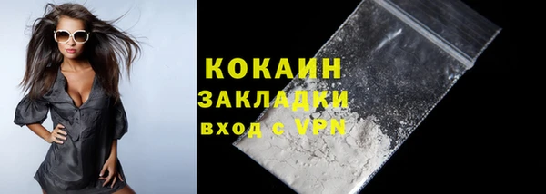индика Баксан