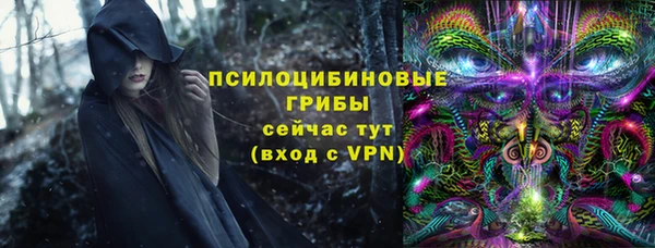 индика Баксан