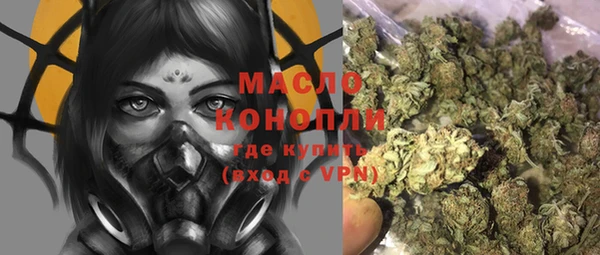 индика Баксан