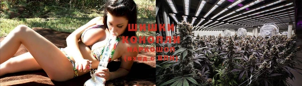 сатива Балабаново