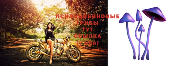 индика Баксан