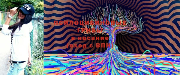 индика Баксан