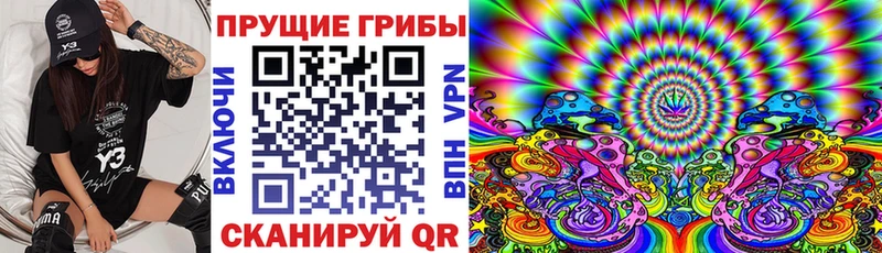 Псилоцибиновые грибы Cubensis  Вилюйск 